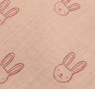 Lapins